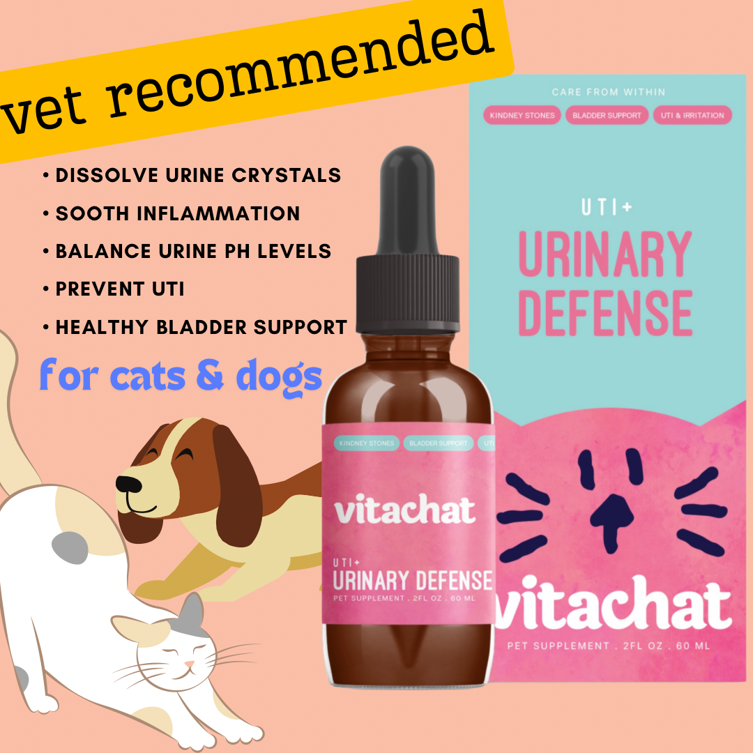 Vitachat Urinary Defence UTI+ for cats & dogs 30ml
